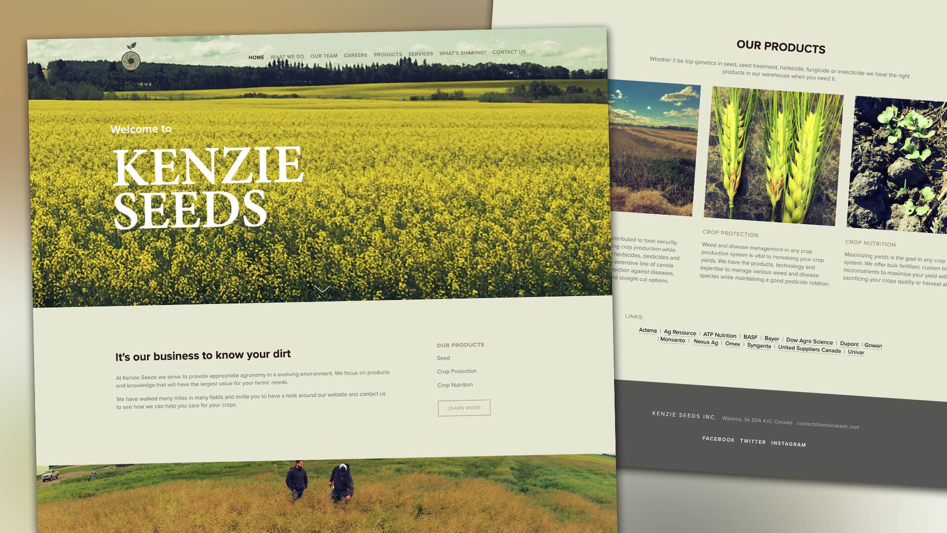 Kenzie Seeds Inc., Website, Kenzie Seeds Website, Portfolio Image