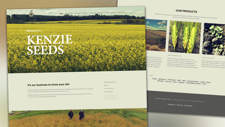 SquareSpace Customization