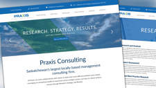 Praxis Consulting Website