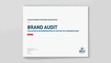 Brand Audit